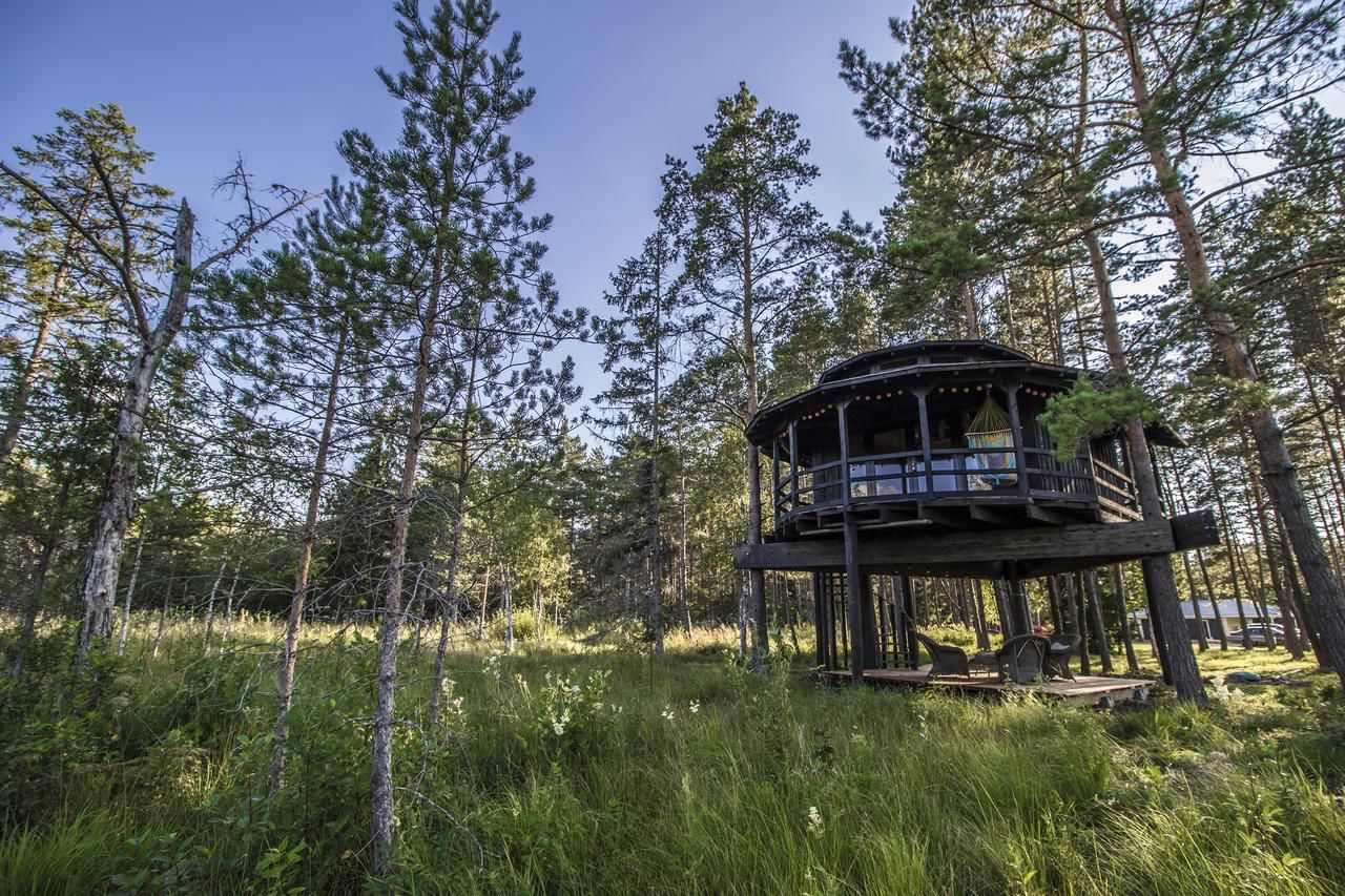 Лоджи Sambliku Treehouse Jõgisoo-4