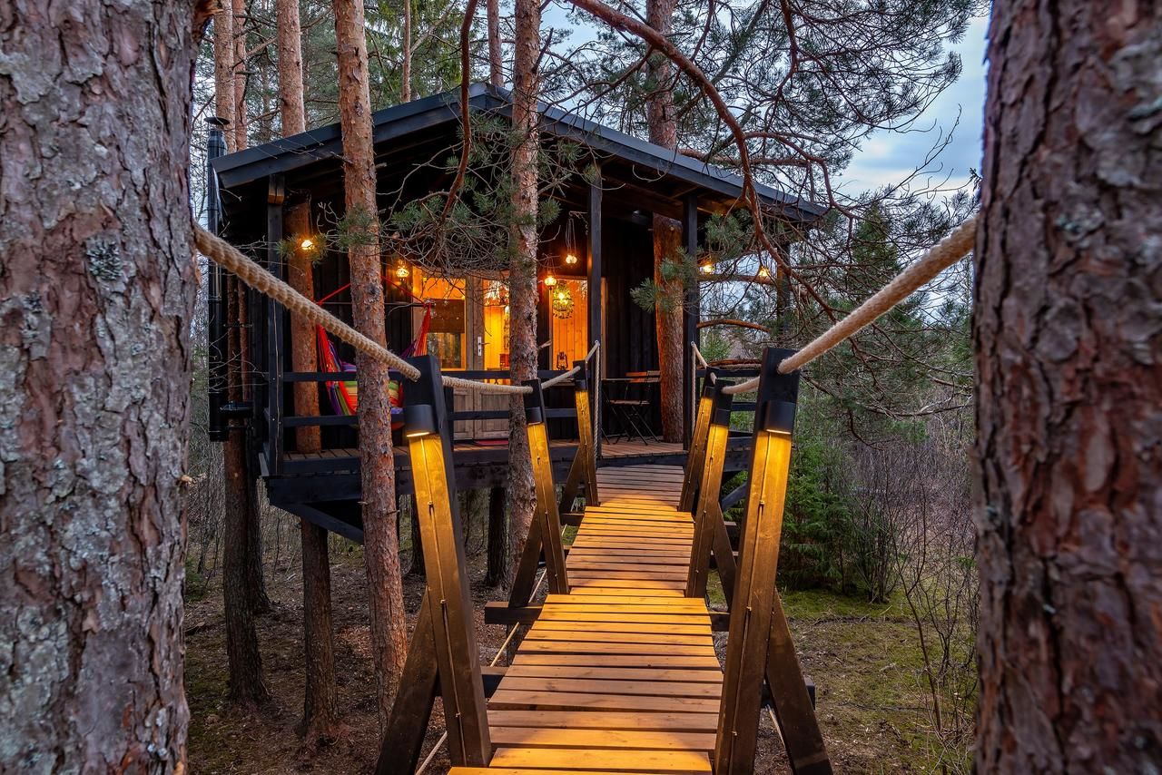 Лоджи Sambliku Treehouse Jõgisoo