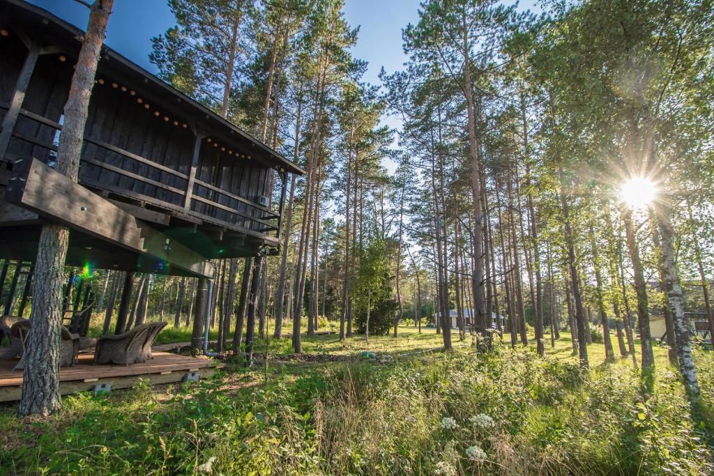 Лоджи Sambliku Treehouse Jõgisoo