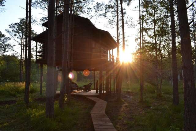 Лоджи Sambliku Treehouse Jõgisoo-46